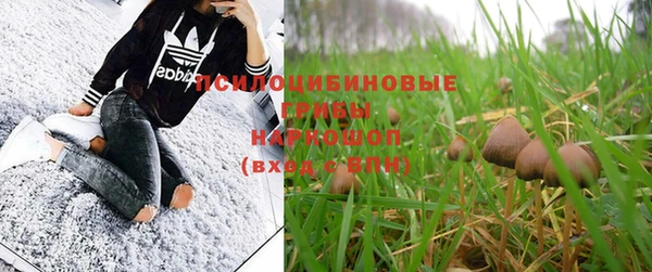 крисы Ессентукская