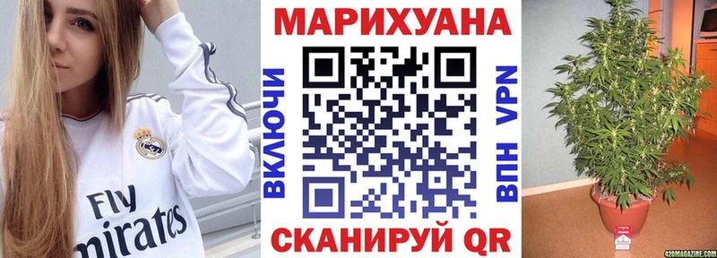 МАРИХУАНА SATIVA & INDICA Пугачёв